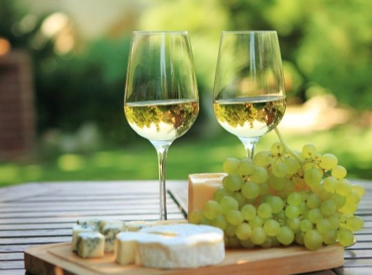 World Tour of Sauvignon Blanc 