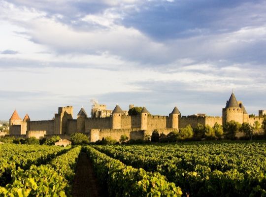 Wines of Southern France