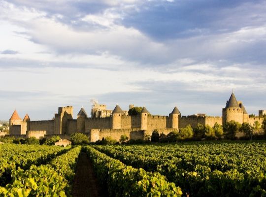 Fine Wines from the South of France 