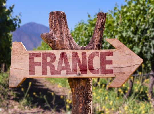 World of Wine - Tour de France 