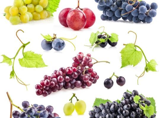  4 Weeks of Grapes Galore   