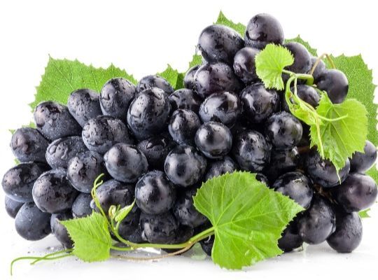Grapes Galore: Sauvignon Blanc & Cabernet Sauvignon