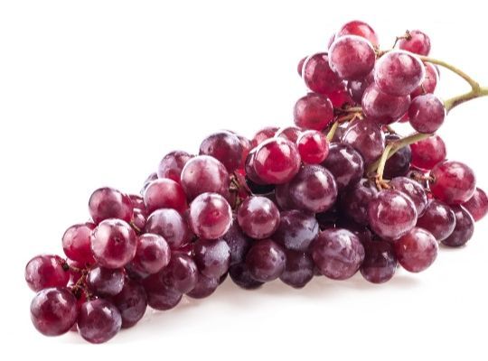 Discover the World of Wine - Red Wines 