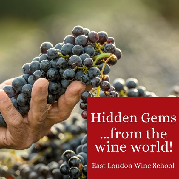 Hidden Gems...Lebanon, Croatia, Georgia, Poland and more from the wine world! 