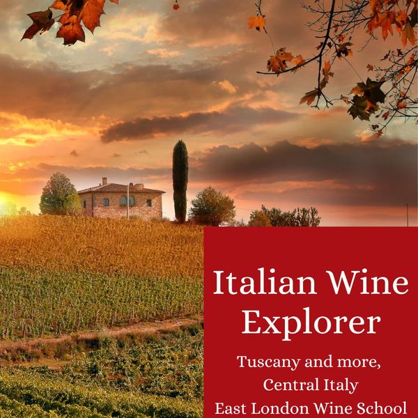 Italian Wine Explorer -Tuscany and beyond, more than Chianti!