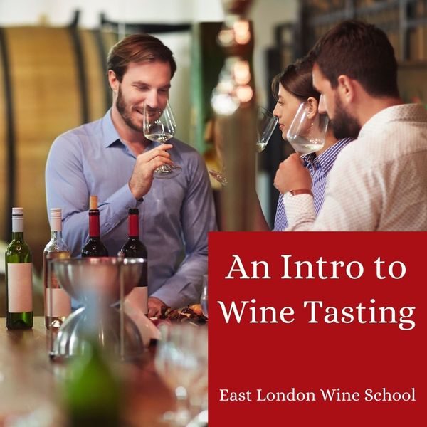 Introduction to Wine Tasting (6)