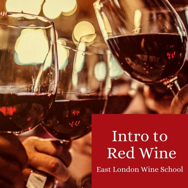 Intro to Red Wines of the World (2)
