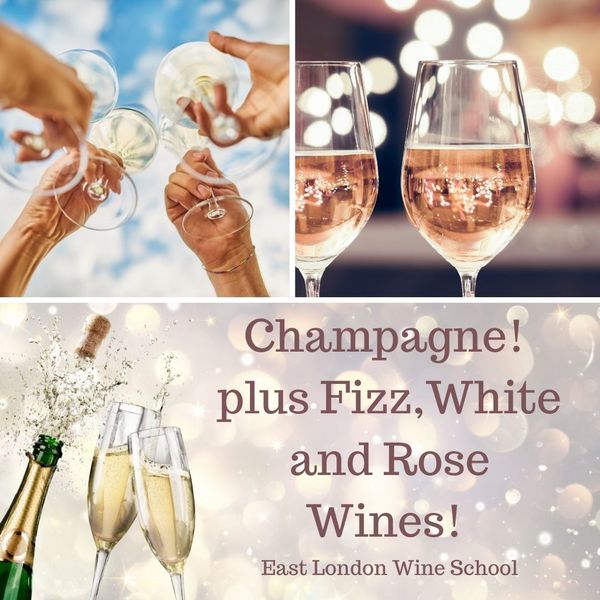 Intro to Champagne, Fizz, White and Rose Wines 
