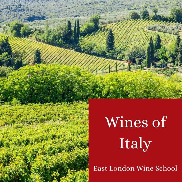 Wines of Italy - Feb 2024