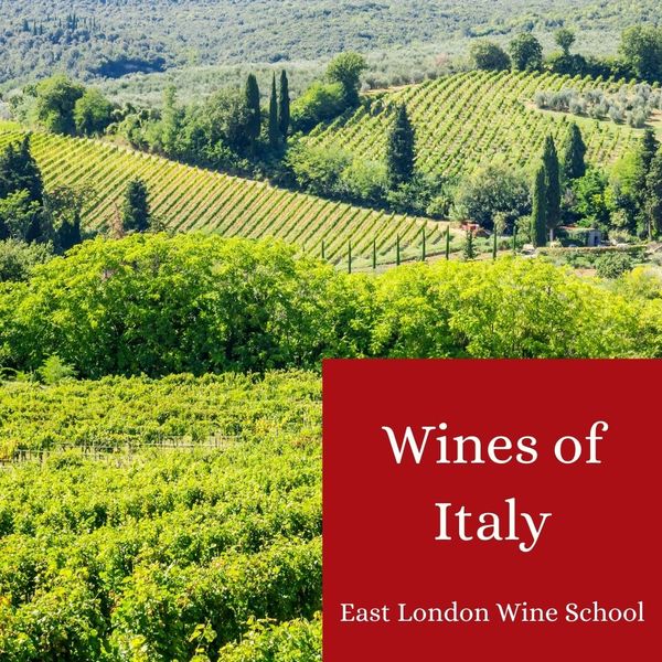 Wines of Italy