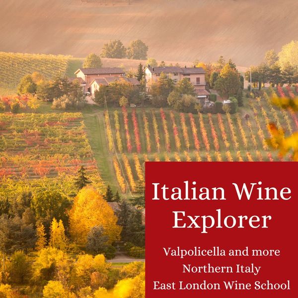 Italian Wine Explorer - Amarone, Prosecco, Valpolicella and so much more!