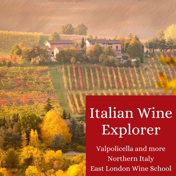 Italian Wine Explorer - North East (Veneto and ??)