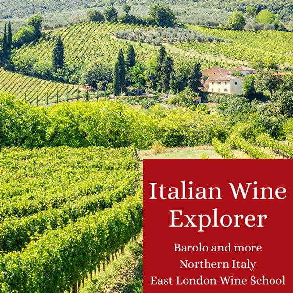Italian Wine Explorer - the Notorious Northern Vineyards home to Barolo!