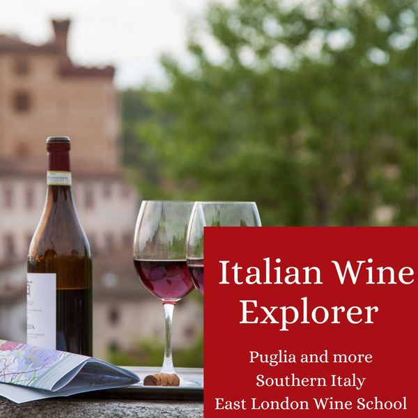 Italian Wine Explorer - The South and The Islands