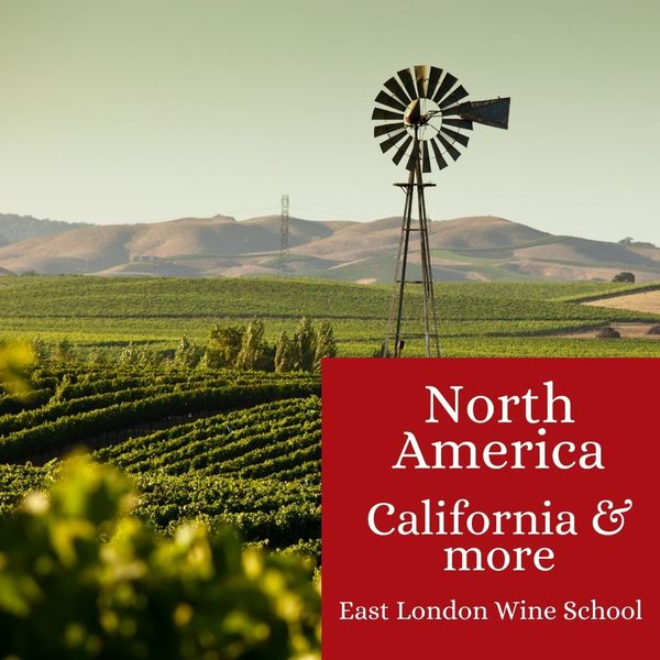 Wines of North America - California and more