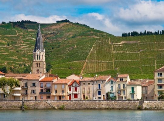 The Rhône Revealed from North to South