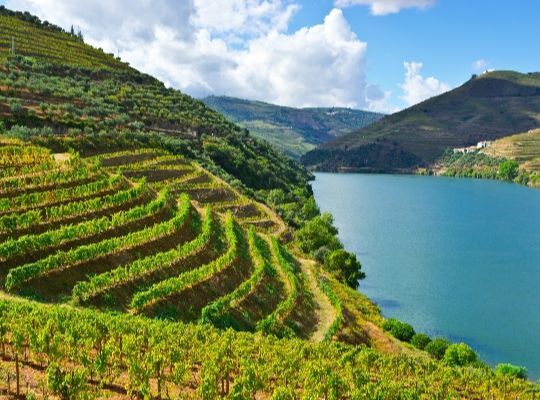 A Wine Journey Through Iberia: incl Rioja