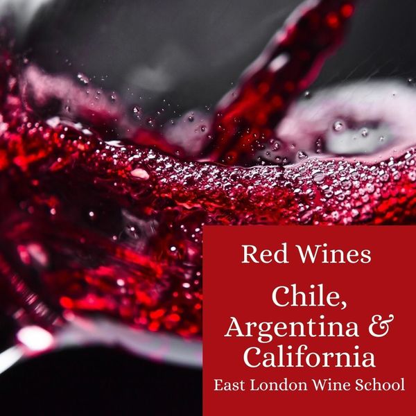Red Wines Chile, Argentina, California