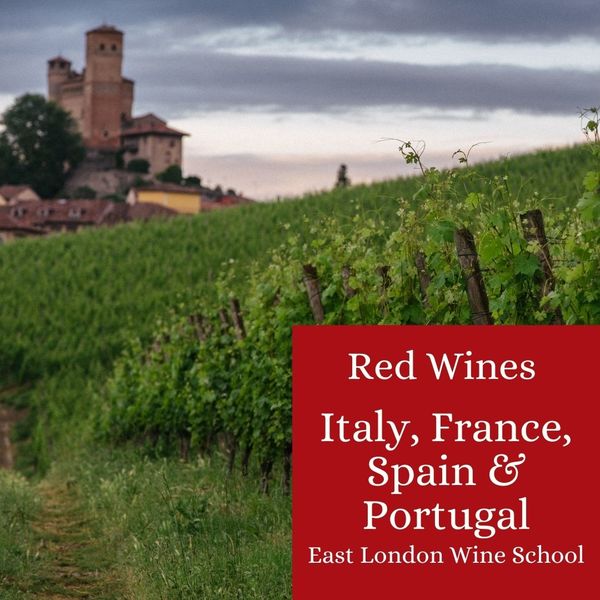 Red Wines from Italy, France, Spain and Portugal