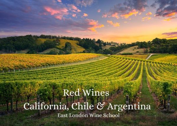 Red Wines Chile, Argentina, California and Canada