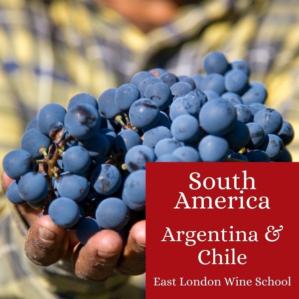 Wines of Chile and Argentina - March 2024