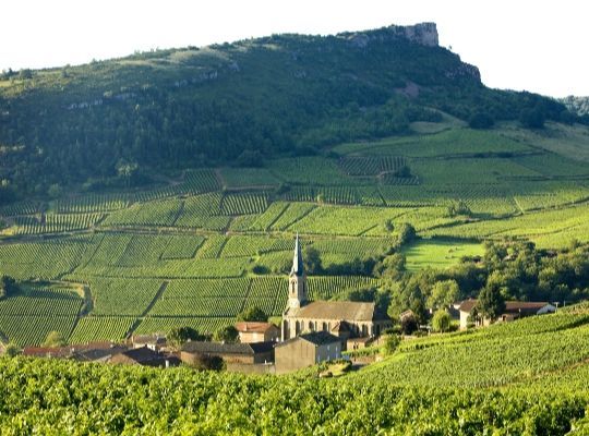 Tour de France - Discover Burgundy & Champagne