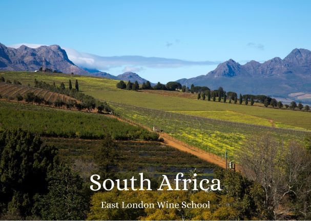 Wines of South Africa
