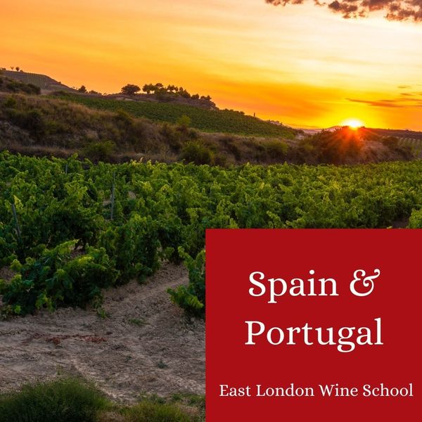 Wines of Spain & Portugal