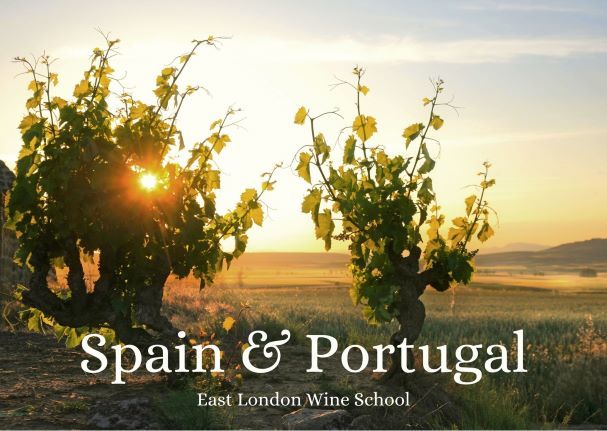 Wines of Spain & Portugal (Autumn)