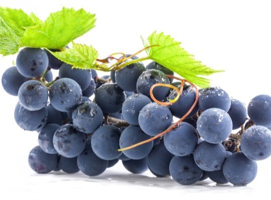 Meet The Pinots