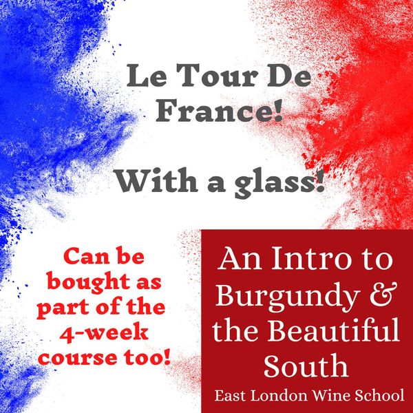 Intro to Burgundy and South of France