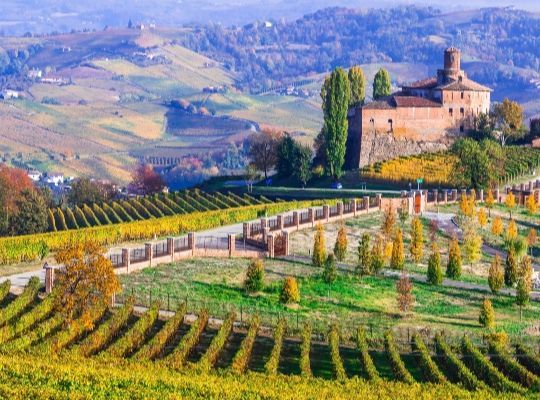 Online Tuscany Masterclass inc Sassicaia