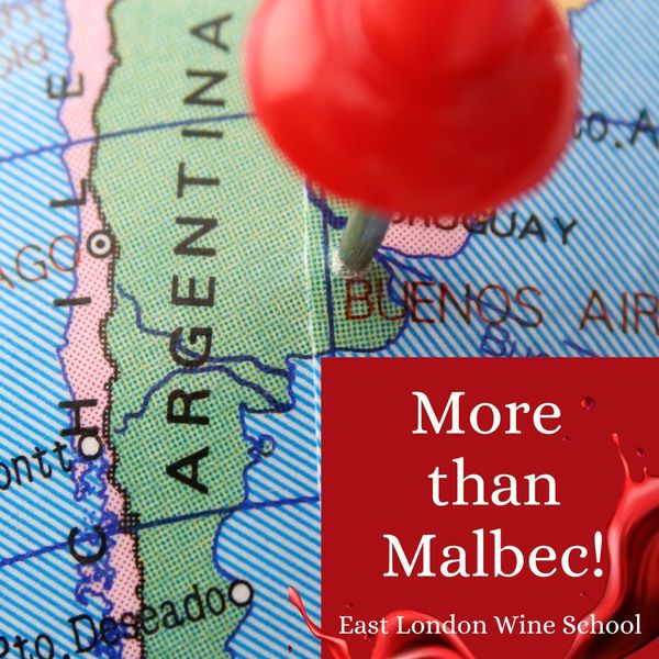 Fine Wines of Argentina. Discover More than Malbec!