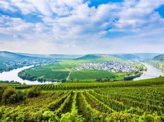 World of Wine: Explore Germany, England, Austria and Hungary