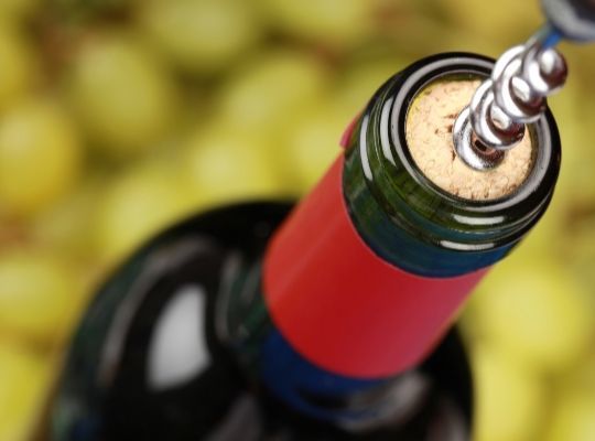 World Of Wine Grapes: Pinot Noir