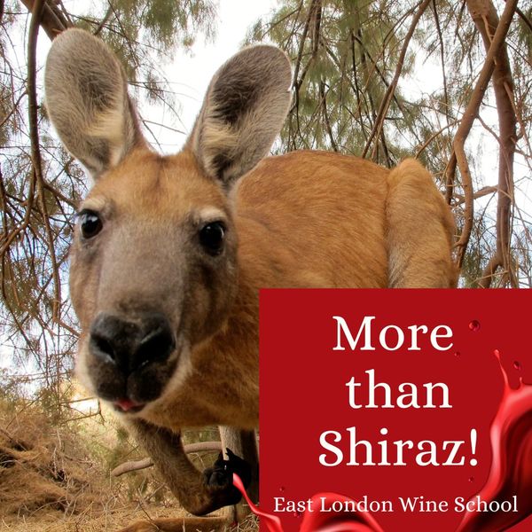 Fine Wines of Australia. Discover More than Shiraz!