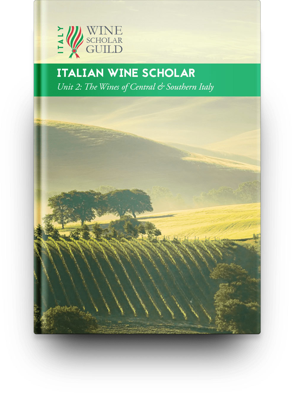  NEW Italian Wine Scholar Unit 2 (Central and The South)   