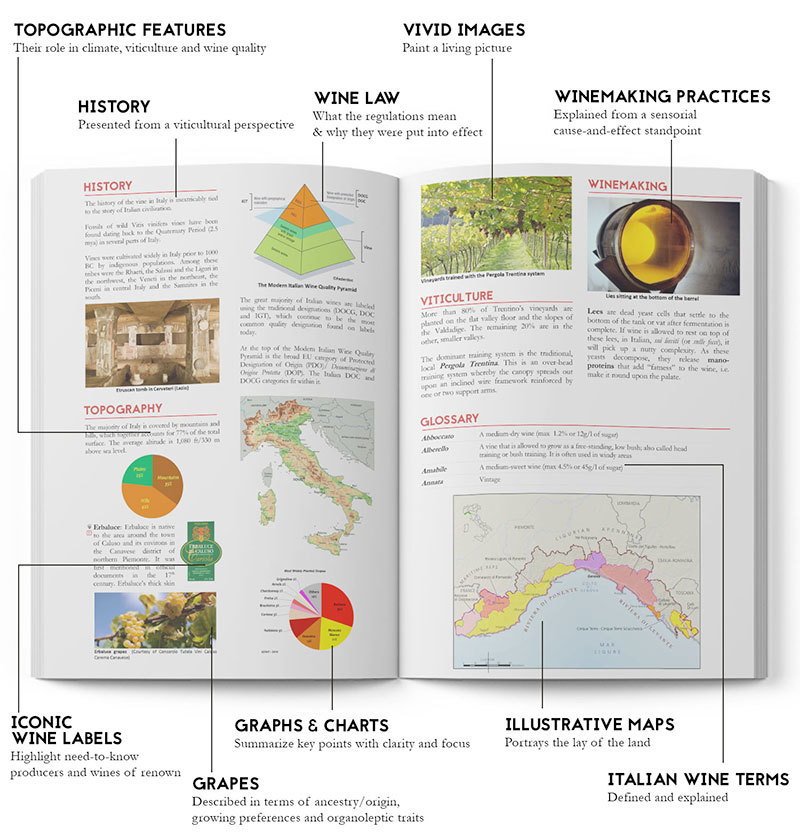 NEW Italian Wine Scholar Unit 1 (The North)      