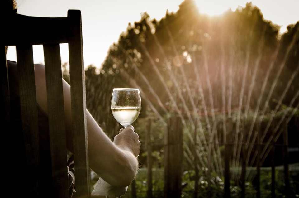 Wines of Spain & Portugal