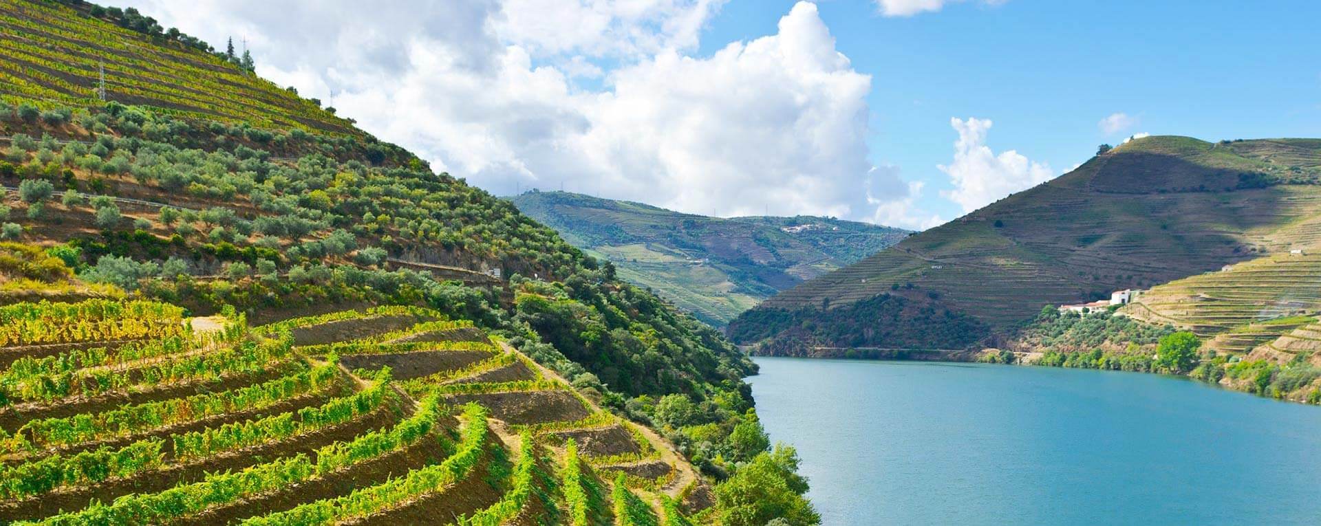 Churchill's Douro Estate Masterclass