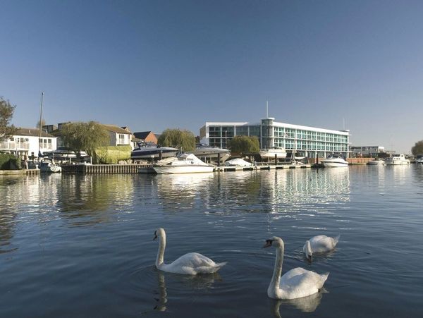 River Swans View